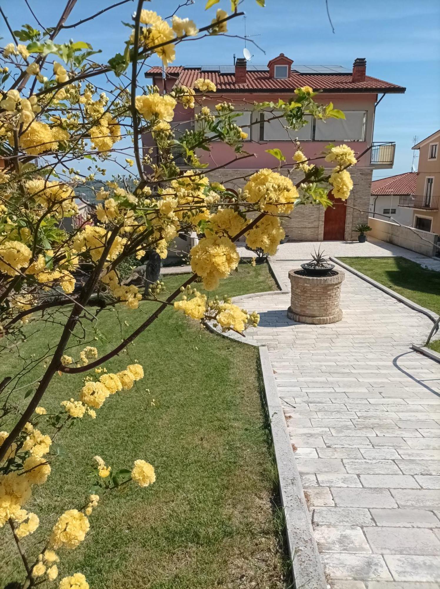 Villa Istonia Cupello Esterno foto