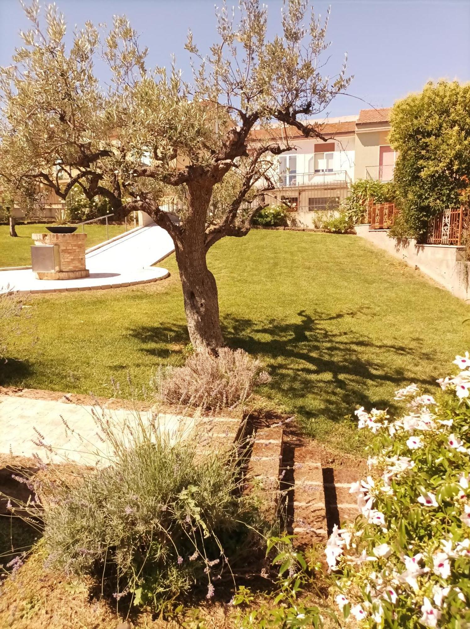 Villa Istonia Cupello Esterno foto